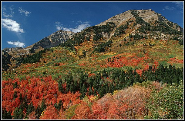 2451358_salt_lake_city.jpg - Salt Lake City