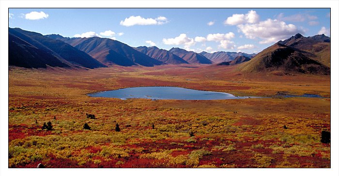 481748_nord_yukon.jpg - Nord Yukon