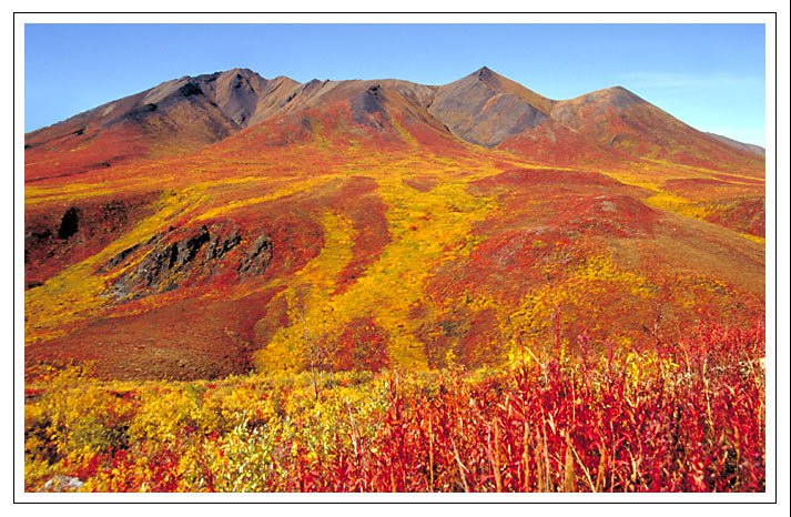 492638_nord_yukon.jpg - Nord Yukon