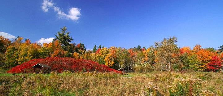 5184269_bacter_state_park.jpg - Bakster State Park