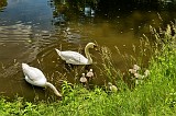 20090523_125044__DSC0155_m_a