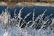 20090111_105305__DSC0024_024