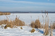 20090111_115151__DSC0081_081