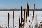 20090111_115313__DSC0083_083